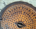 I love to photograph these. Go figure.