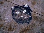 Baltimore Sidewalk Art